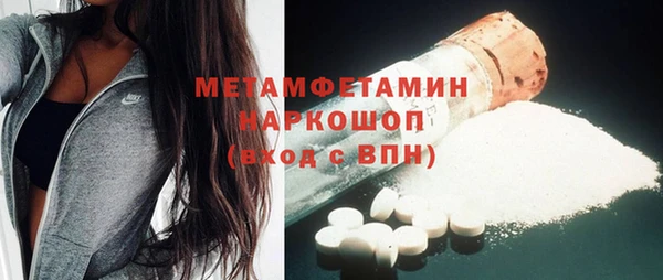 шишки Верея