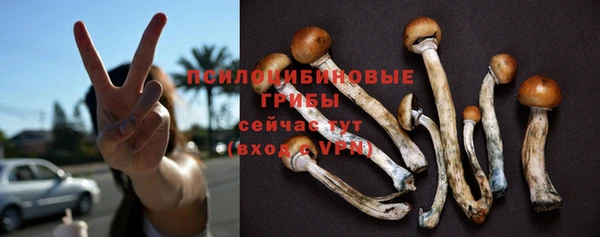 бутират Верхний Тагил