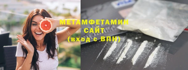шишки Верея