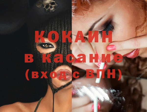 шишки Верея