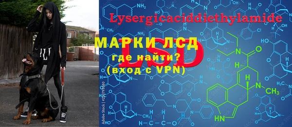 шишки Верея