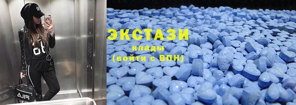 шишки Верея
