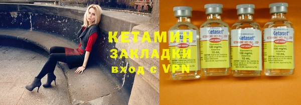 шишки Верея