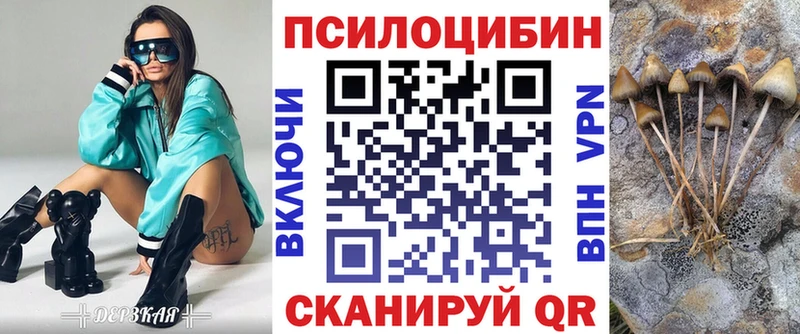 Купить где  Кольчугино  Галлюциногенные грибы MAGIC MUSHROOMS 
